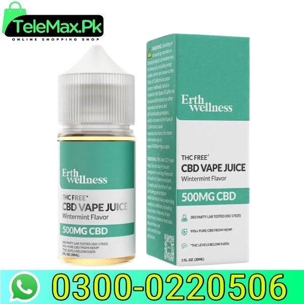 Erth Wellness CBD Vape Juice Wintermint In Pakistan